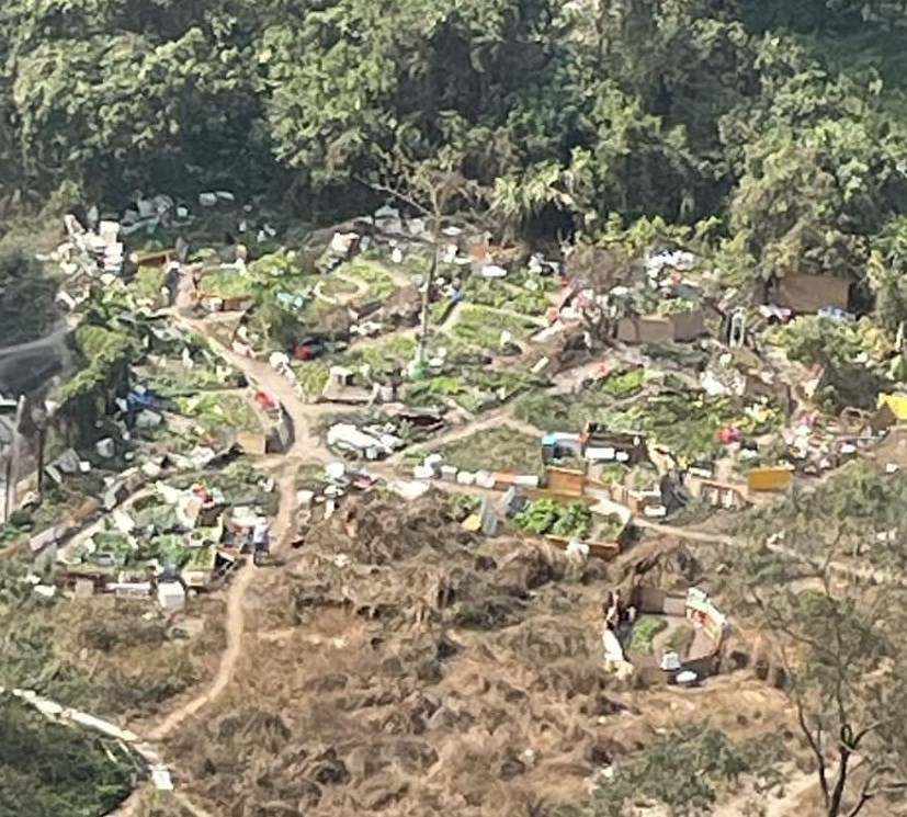 在屯門良景邨後山，有官地懷疑被開墾。fb「良景居民（田新氣象）田景、新圍」截圖