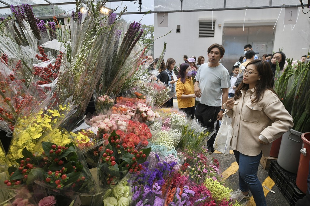 不少人趁周日到旺角花墟買年花應節。陳浩元攝