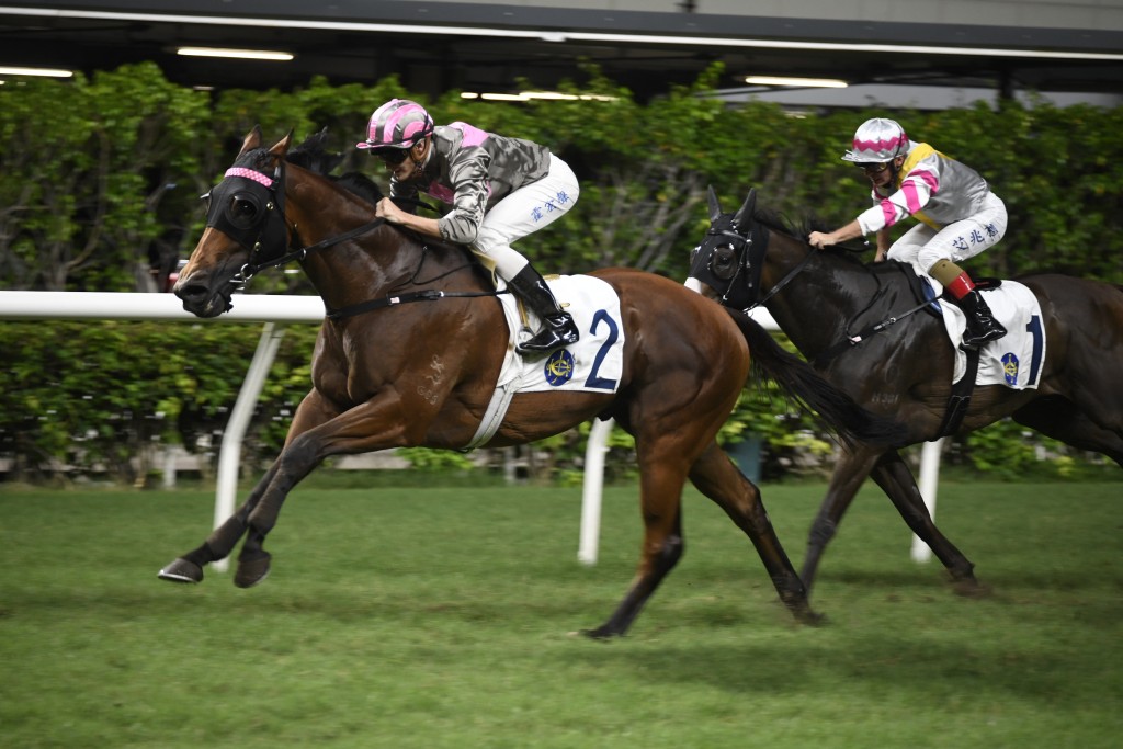 「駟跑得」周日再跑田草千四米，有力爭取今季第三場頭馬。