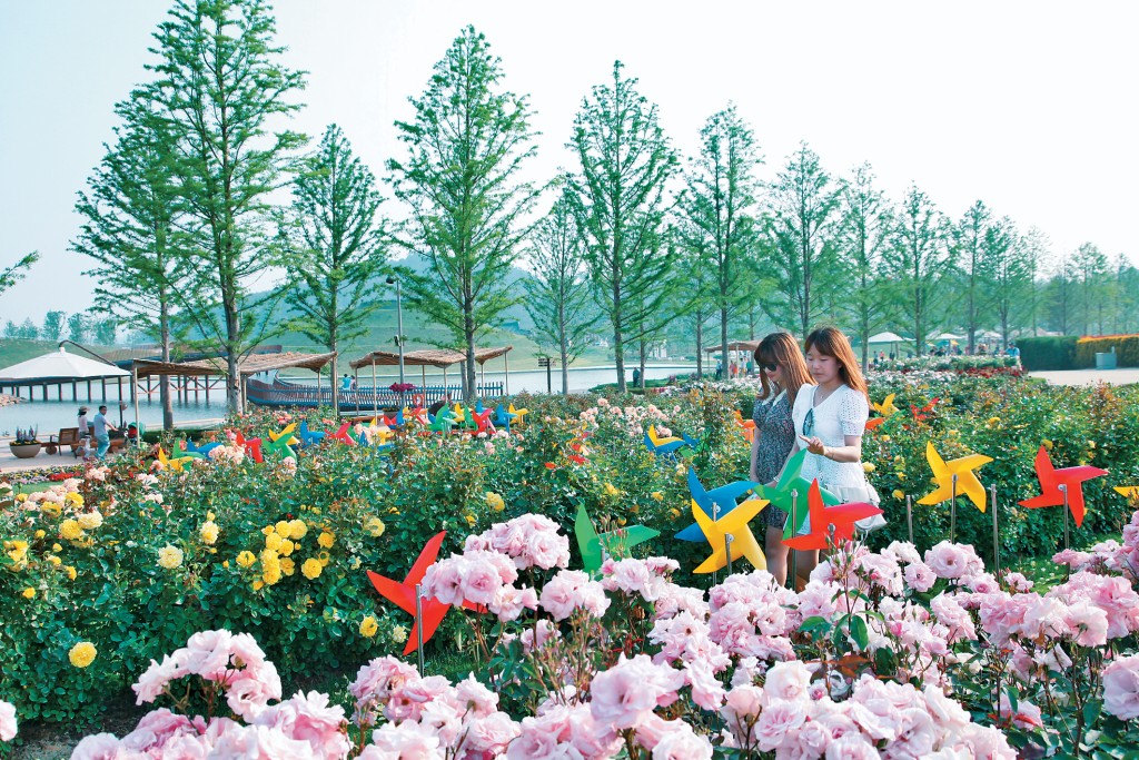 每到春天，韓國釜山一片花海。