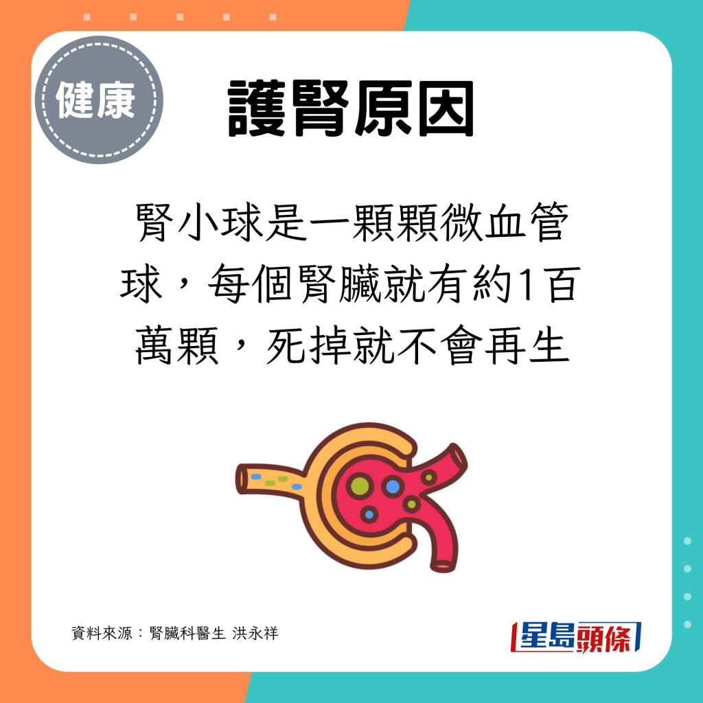 腎小球是一顆顆微血管球，每個腎臟就有約1百萬顆，死掉就不會再生