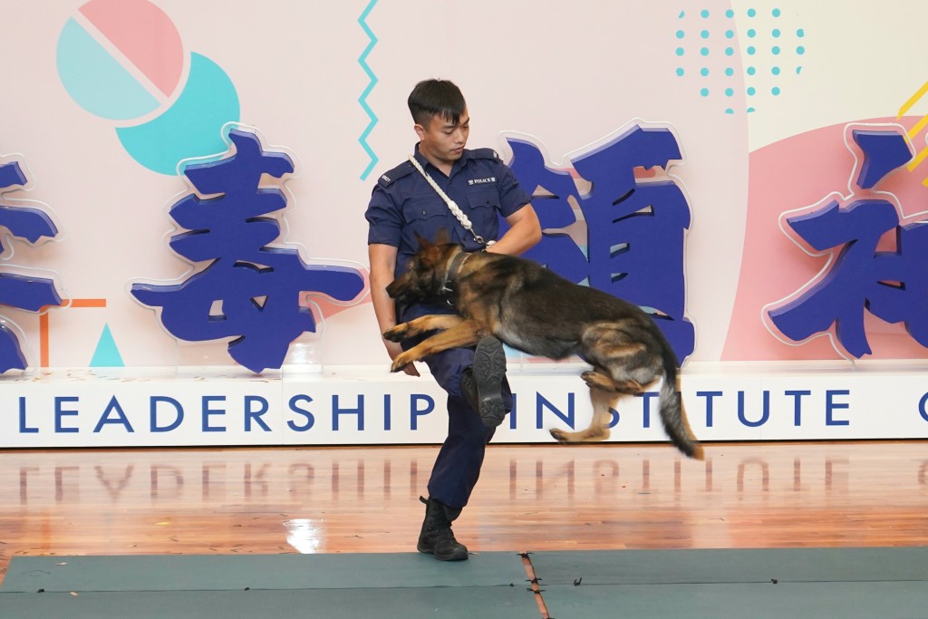 警犬隊示範緝毒工作等。葉偉豪攝