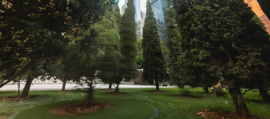美国著名建筑团队Diller Scofidio + Renfro种植多棵龙柏树，其中3棵以倾斜10度种植在转盘上，当其转动时阴影、光线和图案交错，让观众沉浸在「非自然的自然」里，享受宁静时刻。