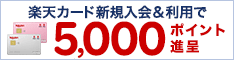 ｢楽天カード公式サイトはこちら