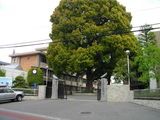 川越高等学校