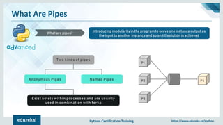 Python Certification Training https://www.edureka.co/python
What Are Pipes
Introducing modularity in the program to serve one instance output as
the input to another instance and so on till solution is achieved
What are pipes?
Two kinds of pipes
Named PipesAnonymous Pipes
Exist solely within processes and are usually
used in combination with forks
P1
P2
P3
P4
 