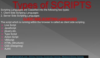 Scripting Languages are Classified into the following two types:
1. Client Side Scripting Languages
2. Server Side Scripting Languages
CLIENT SIDE SCRIPTING LANGUAGES
The script which is running within the browser is called as client side scripting.
 Live Script
 JavaScript
 jQuery etc.
 Type Script
 Action Script
 VBScript
 HTML (Structure)
 CSS (Designing)
 AJAX
 