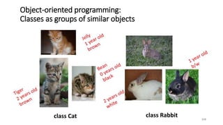 110
Object-oriented programming:
Classes as groups of similar objects
class Cat class Rabbit
 