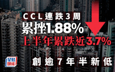 CCL连跌3周 累挫1.88% 上半年累跌近3.7% 创逾7年半新低