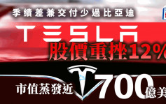 Tesla季績差 股價重挫12% 市值蒸發近700億美元 女股神擲3,248萬美元逆市加倉