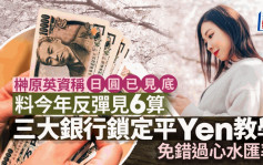 榊原英資稱日圓已見底 料今年反彈見6算 三大銀行鎖定平Yen教學