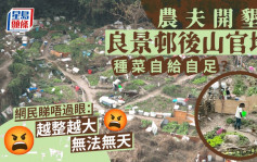 開墾屯門良景邨後山官地種有機菜？ 網民嬲嬲：無法無天 地政總署指......｜Juicy叮