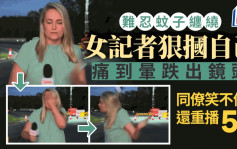 直播遇煩人蚊子停臉上  女記者「給自己1巴掌」打出鏡頭外