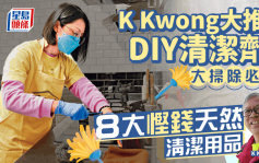 大掃除｜8大慳錢DIY天然清潔劑 化學博士K Kwong大推1款廚餘去漬！