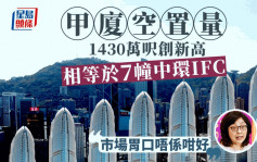 甲廈空置量1430萬呎創新高 相等於7幢中環IFC 甯漢豪認「市場胃口唔係咁好」