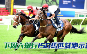 香港國際馬匹拍賣會馬匹試跑示範下周六舉行