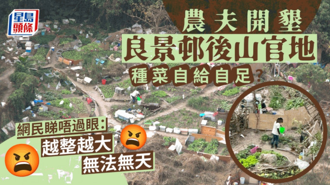 開墾屯門良景邨後山官地種有機菜？ 網民嬲嬲：無法無天 地政總署指......