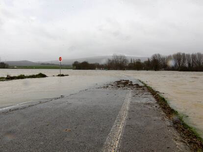 El rio Zadorra (Álava) desbordado corta la carretera A-4302.