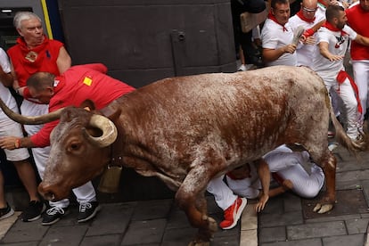 Un cabestro arrolla a varios corredores durante el quinto encierro de San Fermín, este jueves en Pamplona. 