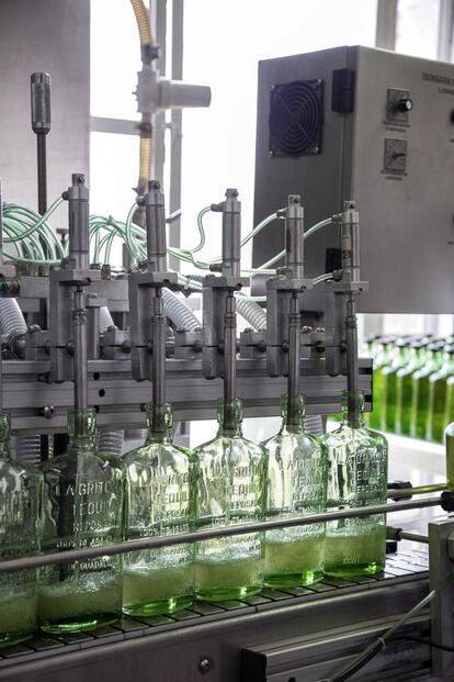 Proceso de embotellado de tequila en la factoría.