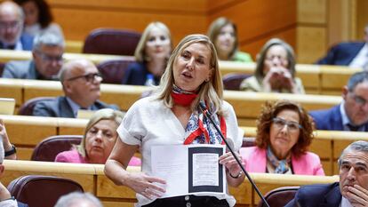 La senadora popular Ana María Beltrán interviene durante la sesión de control al Gobierno celebrada por el pleno del Senado este martes en Madrid.