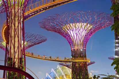 Turistas en las pasarelas de los Jardines de la Bahía en Singapur.