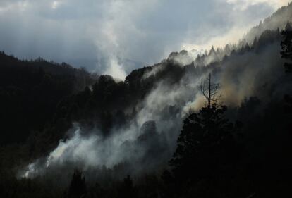 La sequía y los incendios desatados este verano han llevado al Gobierno a declarar este miércoles la “emergencia ígnea” en todo el territorio por el plazo de un año con el fin de adoptar las medidas necesarias para atender “con carácter inminente” el combate de incendios. 