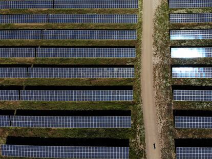 Una planta fotovoltaica en la provincia de Cáceres.