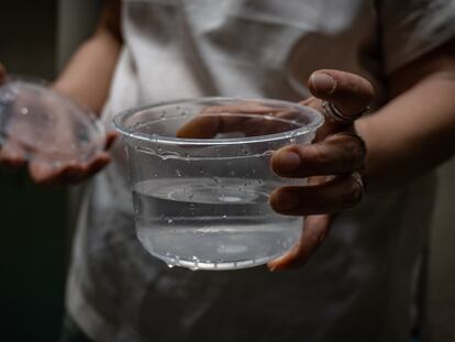Lucina Leo, habitante de la alcaldía Benito Juárez, sostiene una muestra de agua contaminada en su domicilio, en Ciudad de México, en abril de 2024.