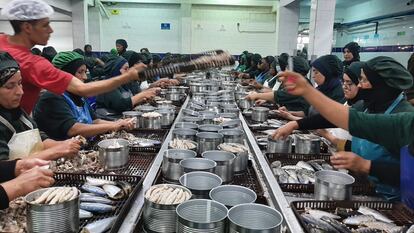 Fábrica de conservas de la empresa pesquera King Pelagique en Dajla, en junio.