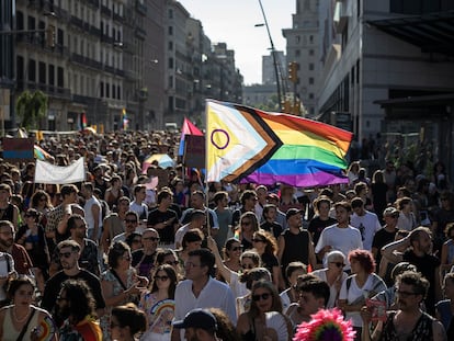 La manifestación por el día internacional LGBTI organizada por laCrida LGBTI.
