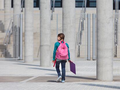 El Gobierno prevé modificar el registro de delincuentes sexuales para mejorar la protección a la infancia.