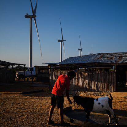 El viento de la transición energética lleva disputas a La Guajira colombiana