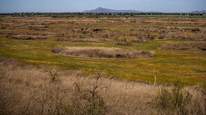 Una las lagunas sin agua del Parque Nacional de las Tablas de Daimiel.