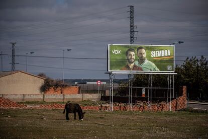 Cartel electoral de Vox en los alrededores de la ciudad de Zamora, en febrero.