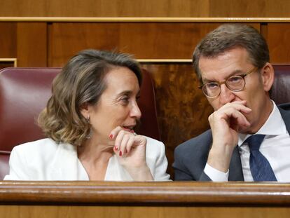 La portavoz del PP en el Congreso, Cuca Gamarra, junto al presidente de su partido, Alberto Núñez Feijóo, en el debate sobre el estado de la nación, este martes en el Congreso.