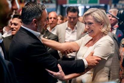 La diputada de la Asamblea Nacional de Francia y candidata a la Presidencia de la República, Marine Le Pen, y el líder de Vox, Santiago Abascal, este domingo en Madrid.