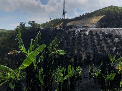 Una parcela afectada por el derrame de petróleo de Pemex, en Papantla, Estado de Veracruz, el 14 de agosto de 2022.