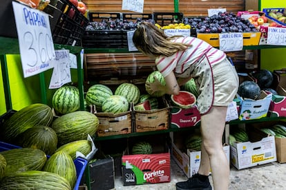 Sandías en una frutería de Valencia, este martes.