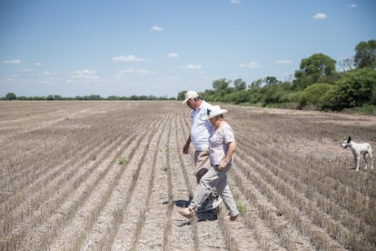 “El veneno está en todas partes”, dice Griselda Ruiz. La soja brota por doquier y el viento del norte lleva los pesticidas a su finca. La granjera de 60 años cree que los químicos se filtran en las aguas subterráneas y en el suelo donde crecen sus vegetales. Asegura que las vacas que bebieron del estanque contaminado murieron, y cuenta que, cuando los aviones fumigadores de cultivos truenan sobre los campos, su hijo tiene ataques de pánico.