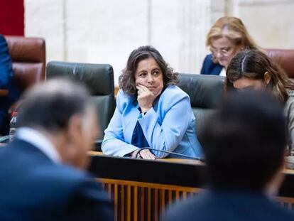 La consejera andaluza de Salud, Catalina García, durante el pleno en el que se solicitaba su reprobación. / EP