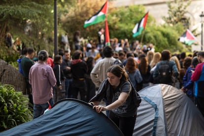 Estudiante en el rectorado de la Universidad de Barcelona en apoyo a Palestina.


