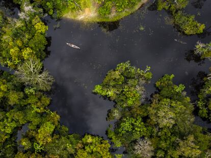 Bosque tropical de la selva amazónica en Colombia, en abril de 2023.