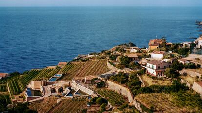 El territorio histórico de los vinos de malvasía mallorquines se sitúa, sobre todo, en los bancales situados frente al mar en Banyalbufar, al oeste de Mallorca.