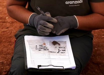 Entre los restos han aparecido posesiones de los individuos enterrados. La asociación de ciencias Aranzadi guarda por separado objetos como la suela de un zapato, fibras de un abrigo de lana, unos gemelos de una camisa, unas gafas, varios botones de nácar o hebillas como la de la imagen. Después, las conservan junto al individuo donde las encontraron.