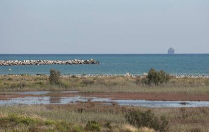 El Delta del LLobregat