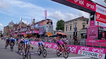 Tim Merlier Giro de Italia