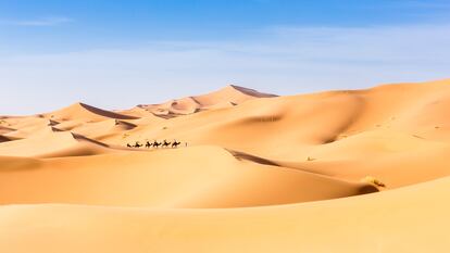 Merzouga en el Desierto del Sáhara en Marruecos, África