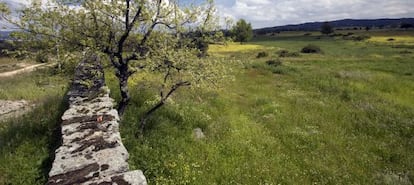 Para crear cualquier finca registral hay que identificar su ubicaci&oacute;n y linderos tomando como base el Catastro. 