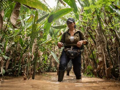 La bióloga Diana Liz Duque, durante un recorrido de búsqueda, para observar un grupo de Monos Araña, que se encuentran en peligro de extinción, dentro de la selva de la Reserva Forestal de Caparo, el 3 de mayo de 2024.